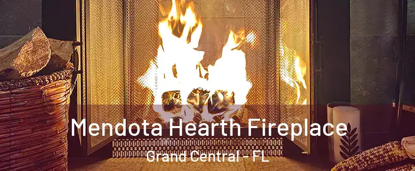 Mendota Hearth Fireplace Grand Central - FL