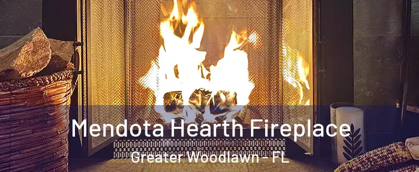 Mendota Hearth Fireplace Greater Woodlawn - FL