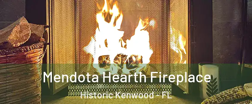 Mendota Hearth Fireplace Historic Kenwood - FL