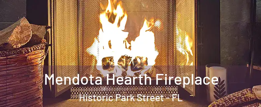 Mendota Hearth Fireplace Historic Park Street - FL