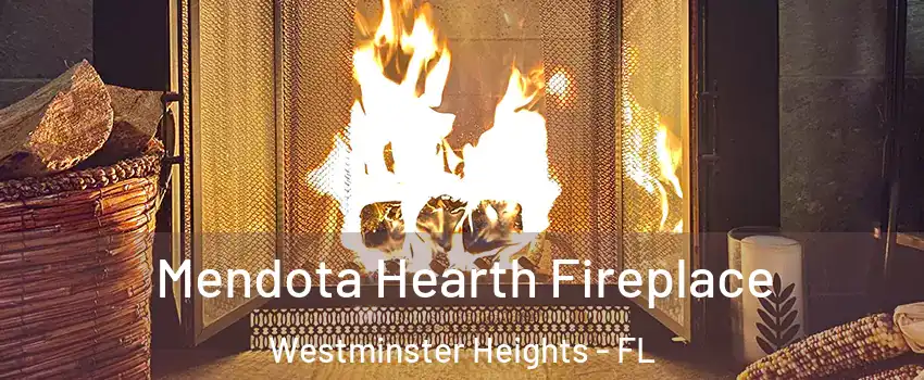 Mendota Hearth Fireplace Westminster Heights - FL