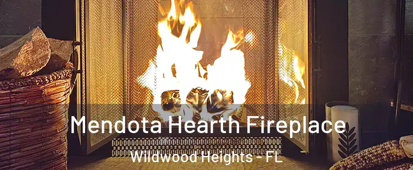 Mendota Hearth Fireplace Wildwood Heights - FL