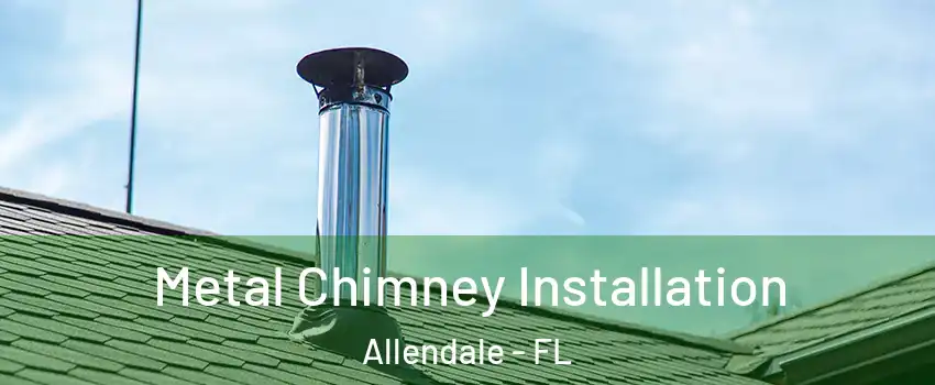Metal Chimney Installation Allendale - FL