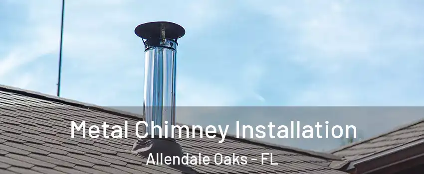 Metal Chimney Installation Allendale Oaks - FL