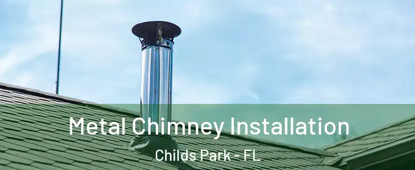 Metal Chimney Installation Childs Park - FL