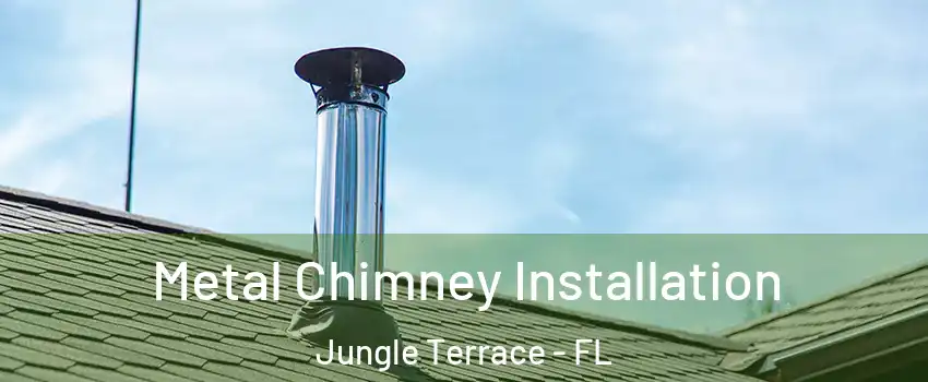 Metal Chimney Installation Jungle Terrace - FL