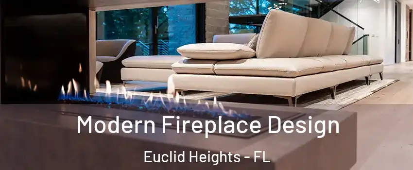 Modern Fireplace Design Euclid Heights - FL