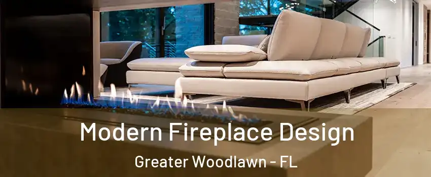 Modern Fireplace Design Greater Woodlawn - FL