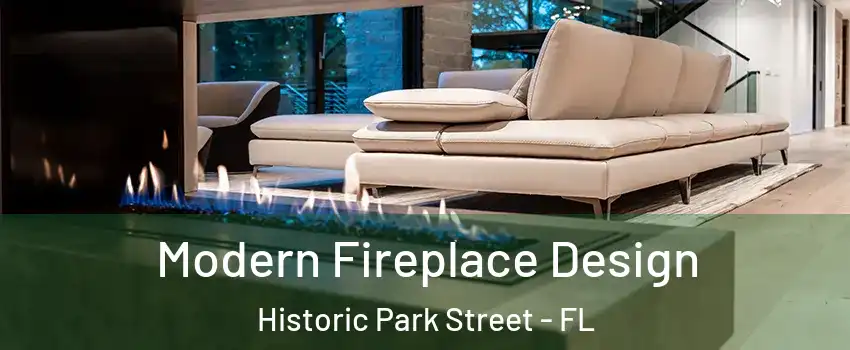 Modern Fireplace Design Historic Park Street - FL