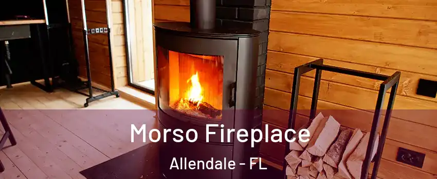 Morso Fireplace Allendale - FL