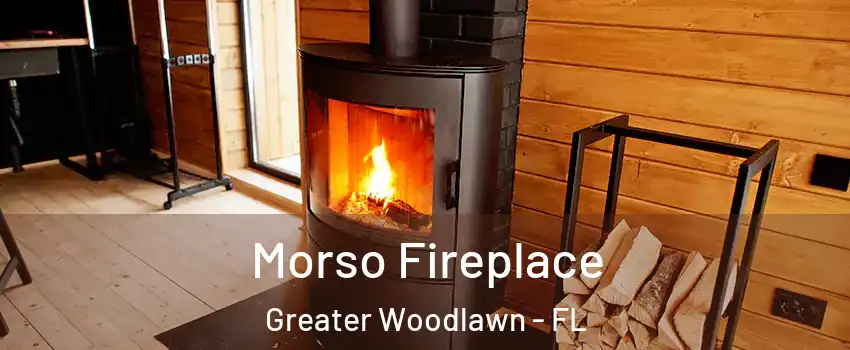 Morso Fireplace Greater Woodlawn - FL