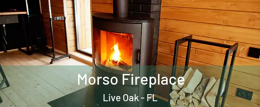 Morso Fireplace Live Oak - FL