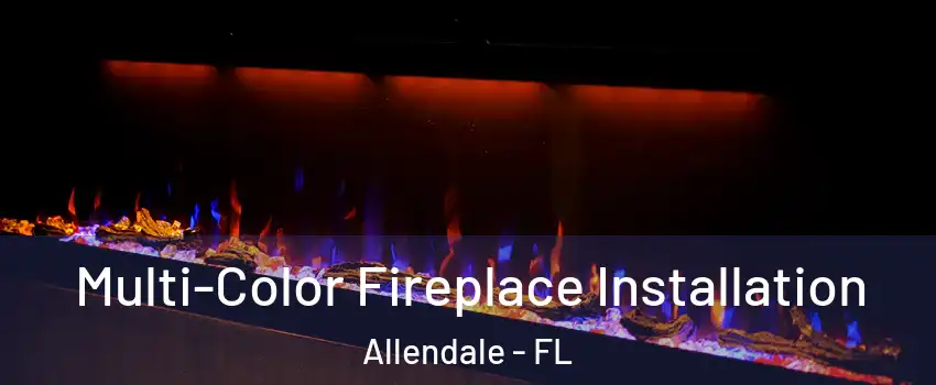 Multi-Color Fireplace Installation Allendale - FL
