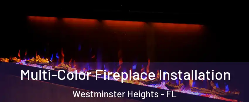Multi-Color Fireplace Installation Westminster Heights - FL