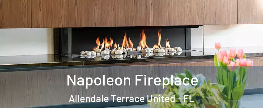 Napoleon Fireplace Allendale Terrace United - FL