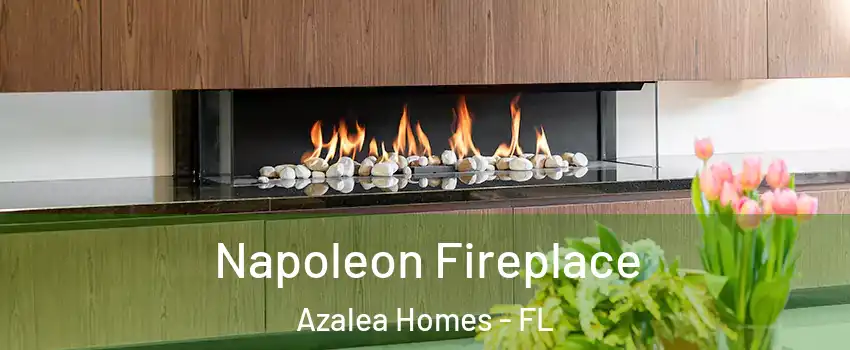 Napoleon Fireplace Azalea Homes - FL
