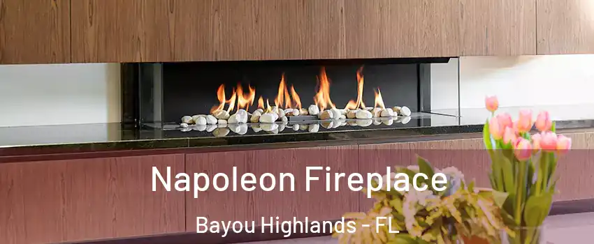 Napoleon Fireplace Bayou Highlands - FL