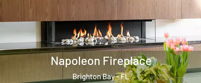 Napoleon Fireplace Brighton Bay - FL