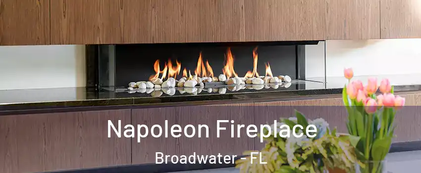 Napoleon Fireplace Broadwater - FL