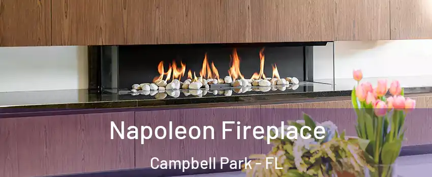 Napoleon Fireplace Campbell Park - FL