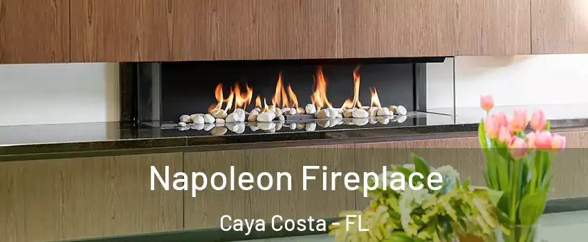 Napoleon Fireplace Caya Costa - FL