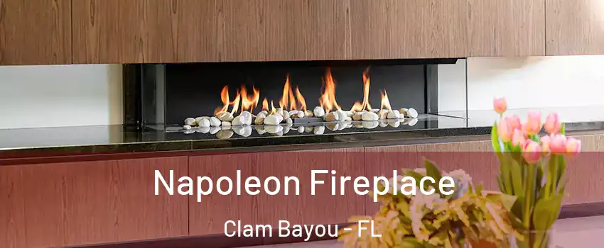 Napoleon Fireplace Clam Bayou - FL