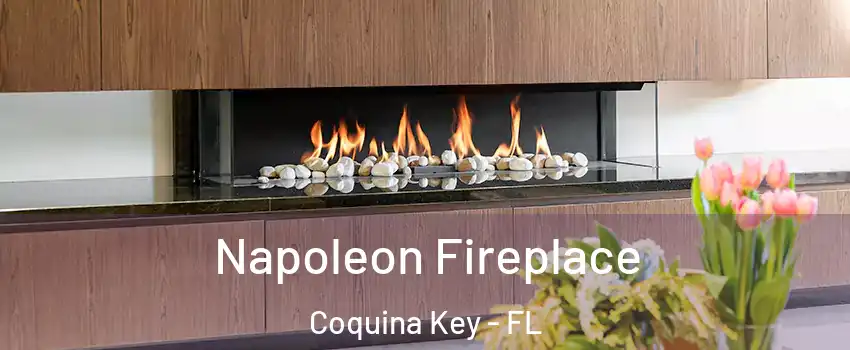 Napoleon Fireplace Coquina Key - FL