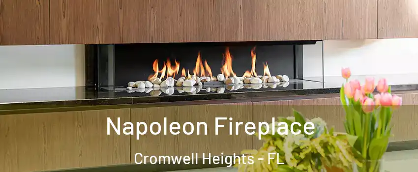 Napoleon Fireplace Cromwell Heights - FL