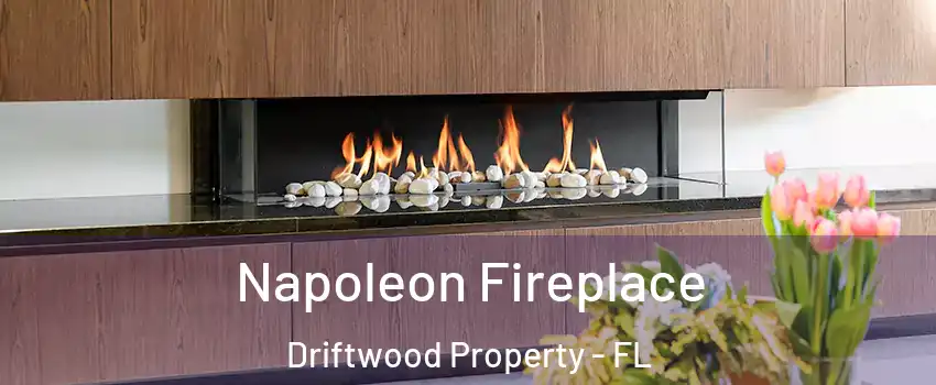 Napoleon Fireplace Driftwood Property - FL