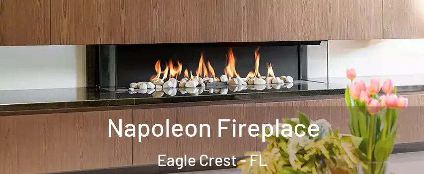 Napoleon Fireplace Eagle Crest - FL