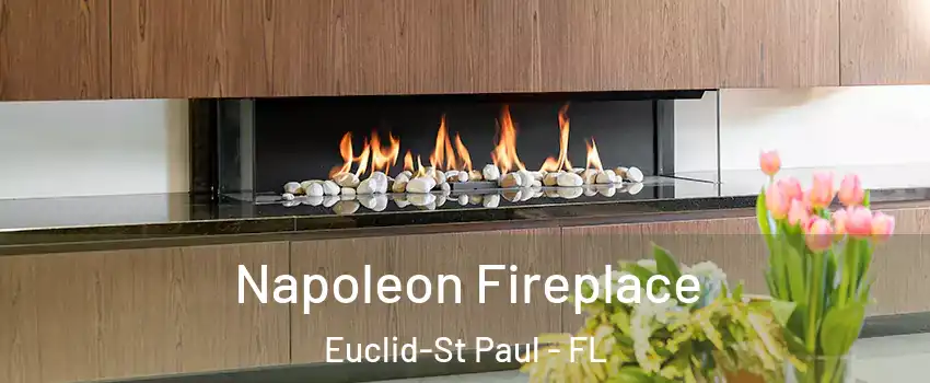 Napoleon Fireplace Euclid-St Paul - FL