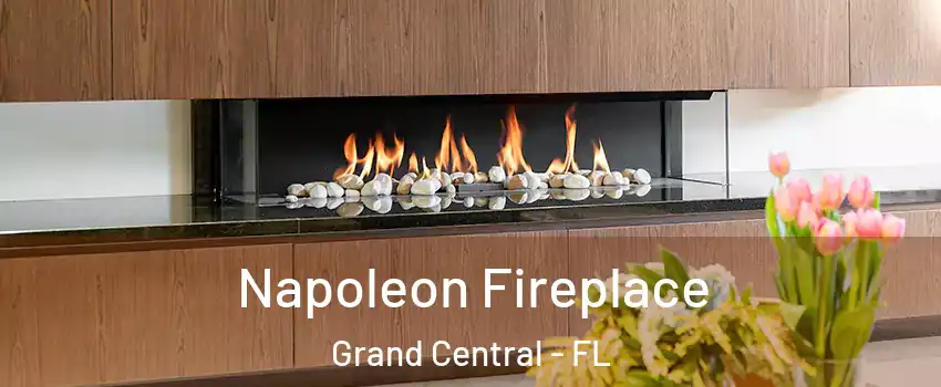 Napoleon Fireplace Grand Central - FL