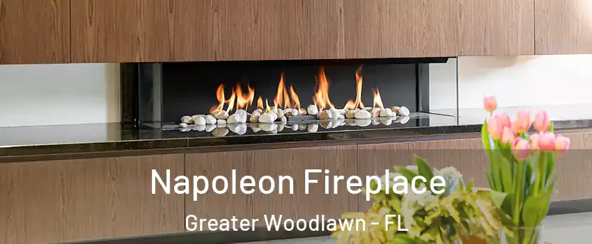 Napoleon Fireplace Greater Woodlawn - FL