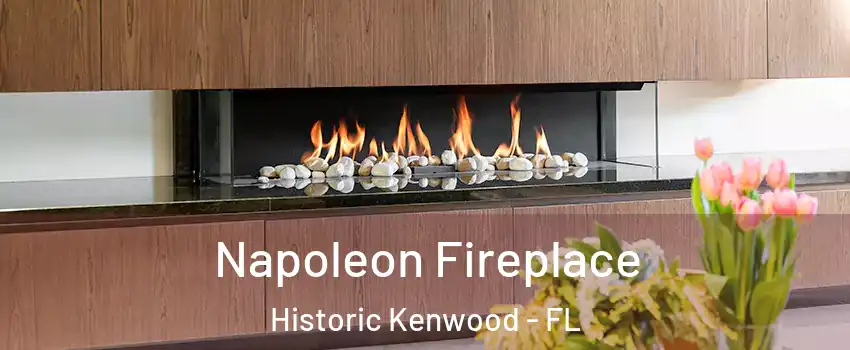 Napoleon Fireplace Historic Kenwood - FL
