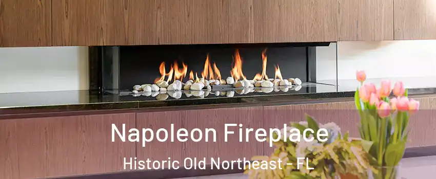 Napoleon Fireplace Historic Old Northeast - FL