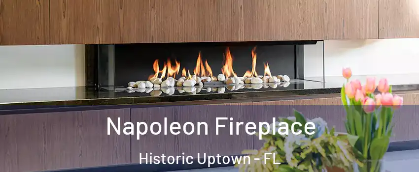 Napoleon Fireplace Historic Uptown - FL