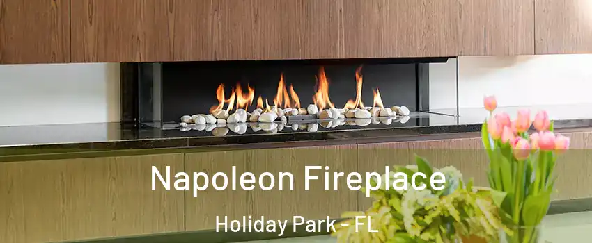 Napoleon Fireplace Holiday Park - FL