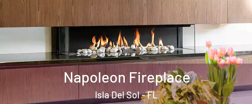 Napoleon Fireplace Isla Del Sol - FL