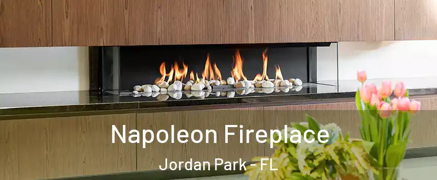 Napoleon Fireplace Jordan Park - FL