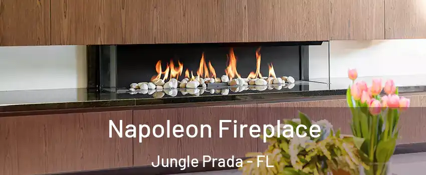 Napoleon Fireplace Jungle Prada - FL