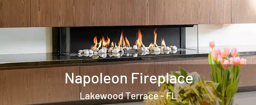 Napoleon Fireplace Lakewood Terrace - FL