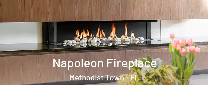 Napoleon Fireplace Methodist Town - FL