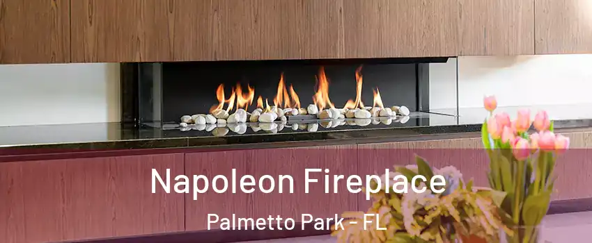 Napoleon Fireplace Palmetto Park - FL