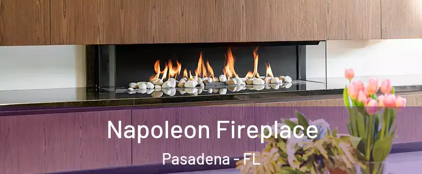 Napoleon Fireplace Pasadena - FL