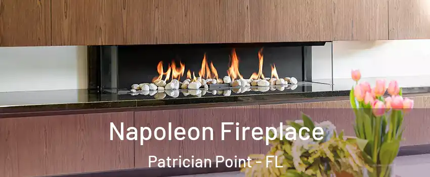 Napoleon Fireplace Patrician Point - FL