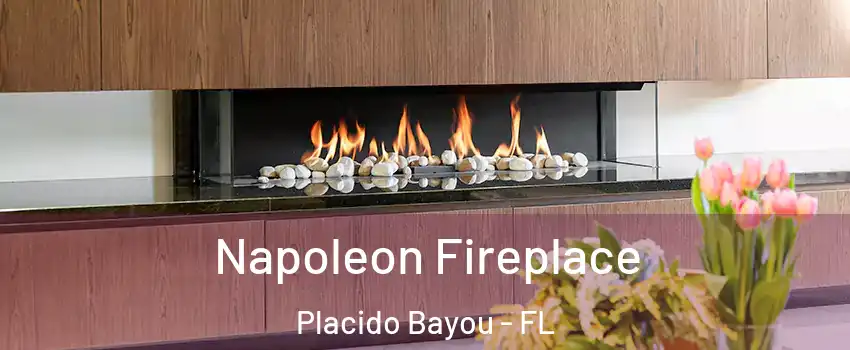 Napoleon Fireplace Placido Bayou - FL