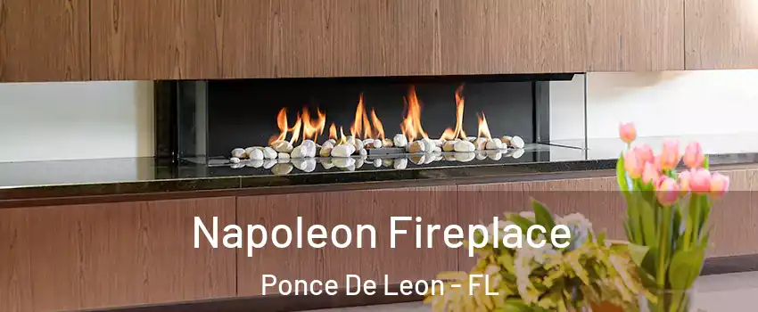 Napoleon Fireplace Ponce De Leon - FL