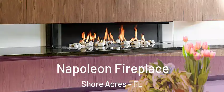 Napoleon Fireplace Shore Acres - FL