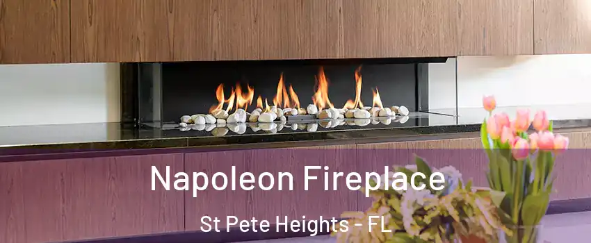 Napoleon Fireplace St Pete Heights - FL
