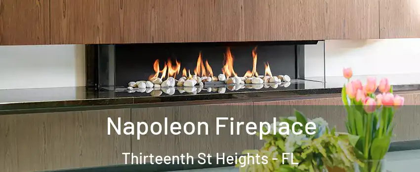 Napoleon Fireplace Thirteenth St Heights - FL